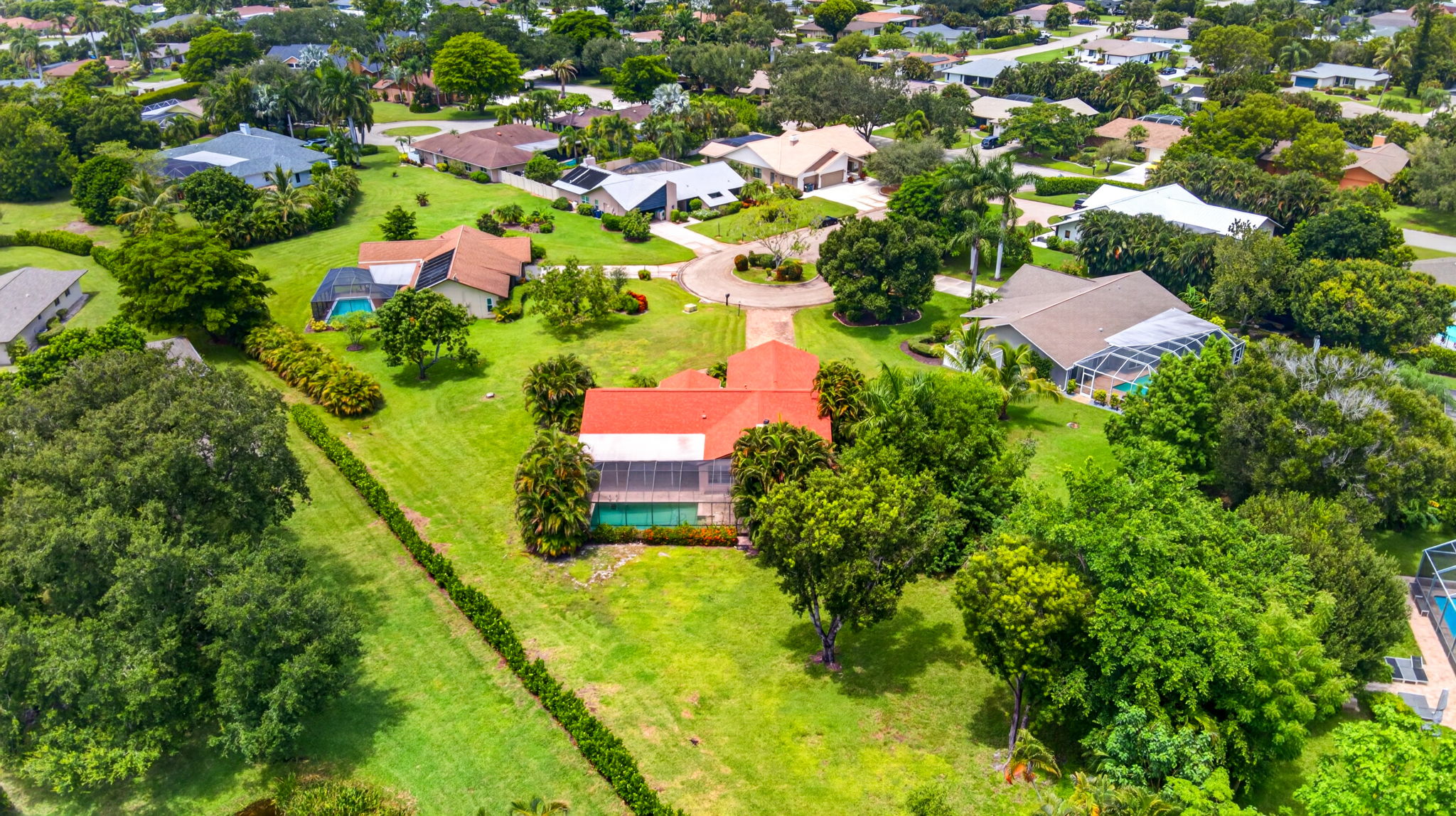 Aerial 3