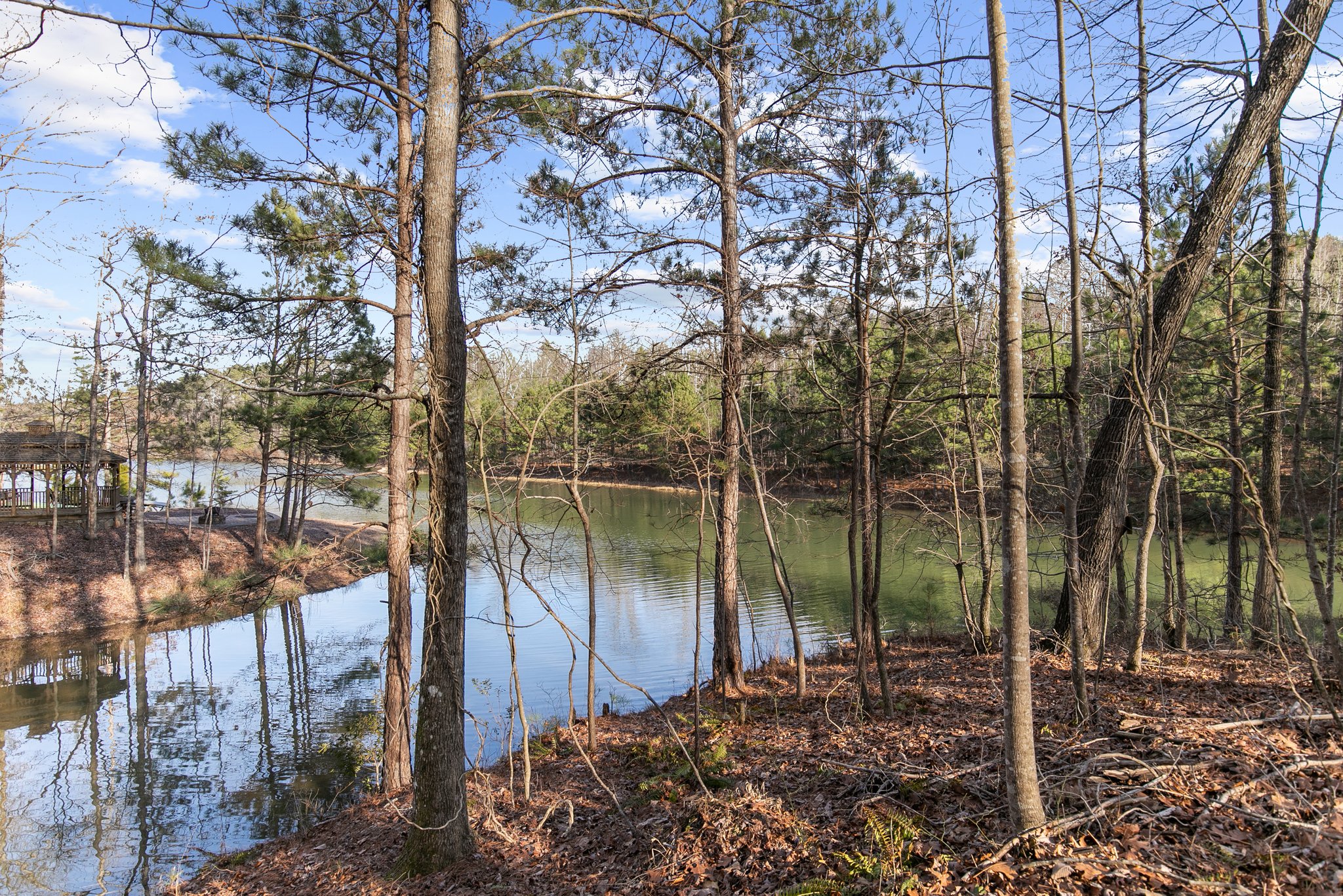 5715 Carrington Lake Pkwy, Trussville, AL 35173, USA Photo 16