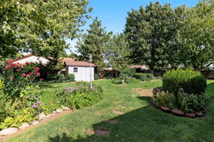  Photo 49