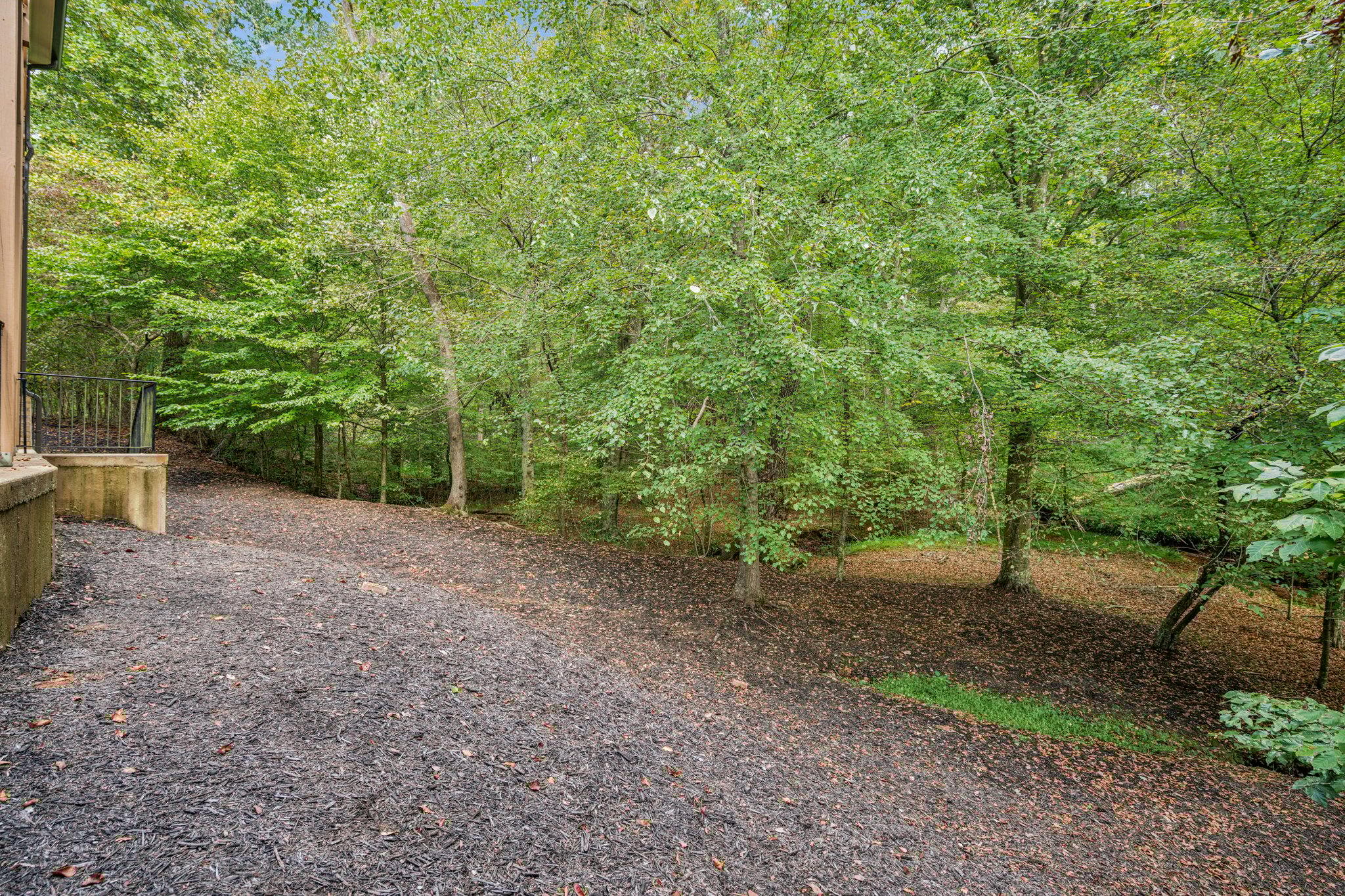 Local_Flavor_films-5717 Meadow View Dr, Jefferson, GA 30549-391.jpg