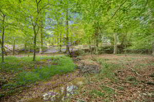 Local_Flavor_films-5717 Meadow View Dr, Jefferson, GA 30549-401.jpg