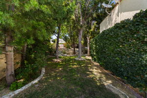  Photo 51