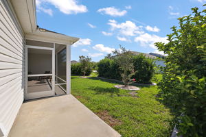 Rear Patio with Privacy Landscaping