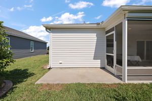 Rear Patio with Privacy Landscaping