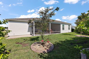 Rear Elevation
