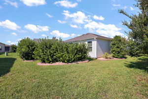 Rear/Side Elevation with Privacy Landscaping
