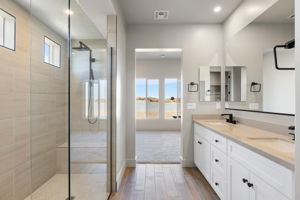 Primary Bathroom (3)