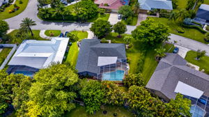 Aerial 4