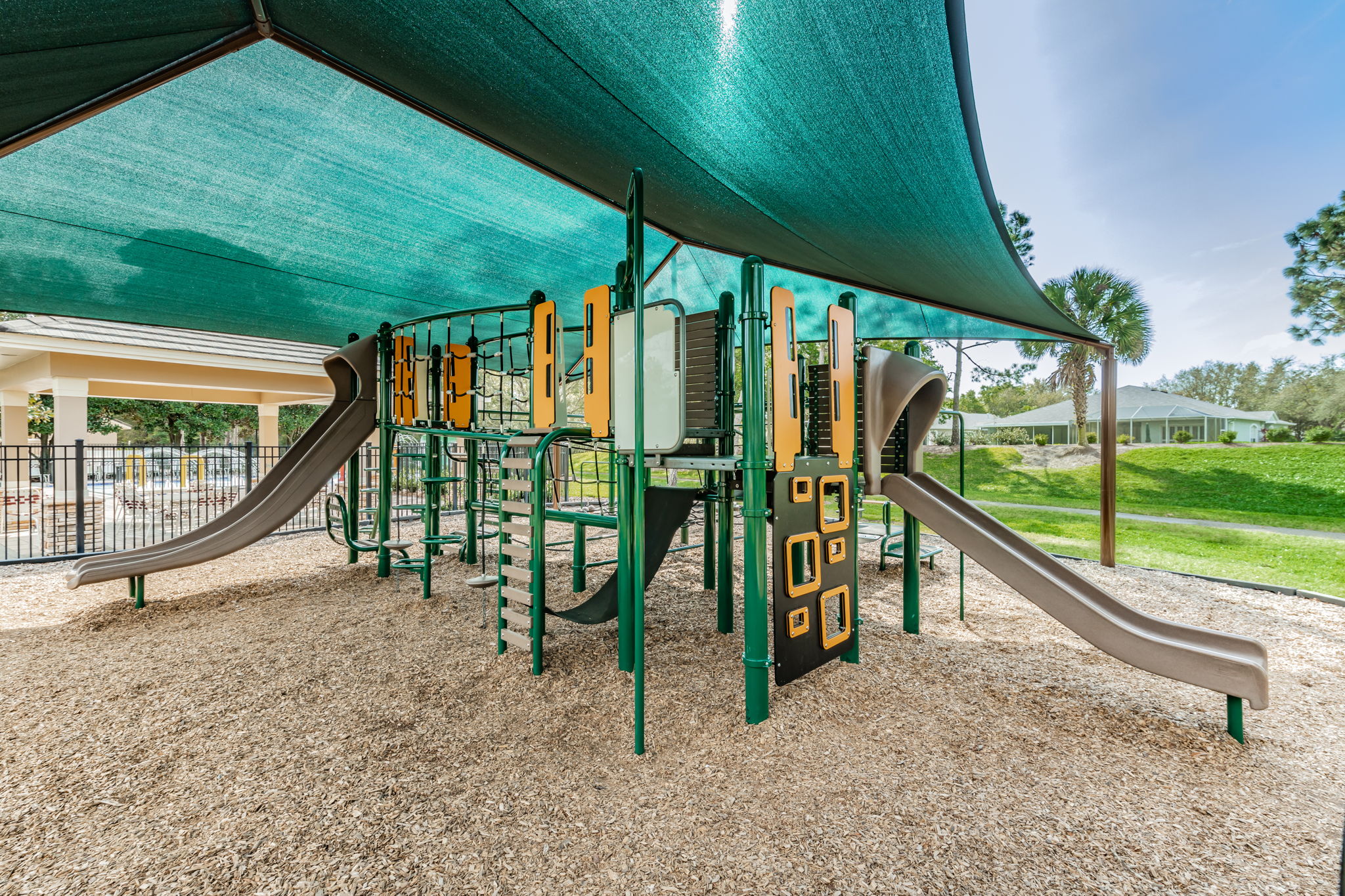 FishHawk Aquatic Club5