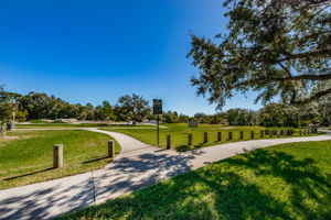 FishHawk Skate Park1