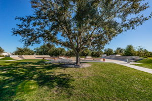 FishHawk Skate Park3