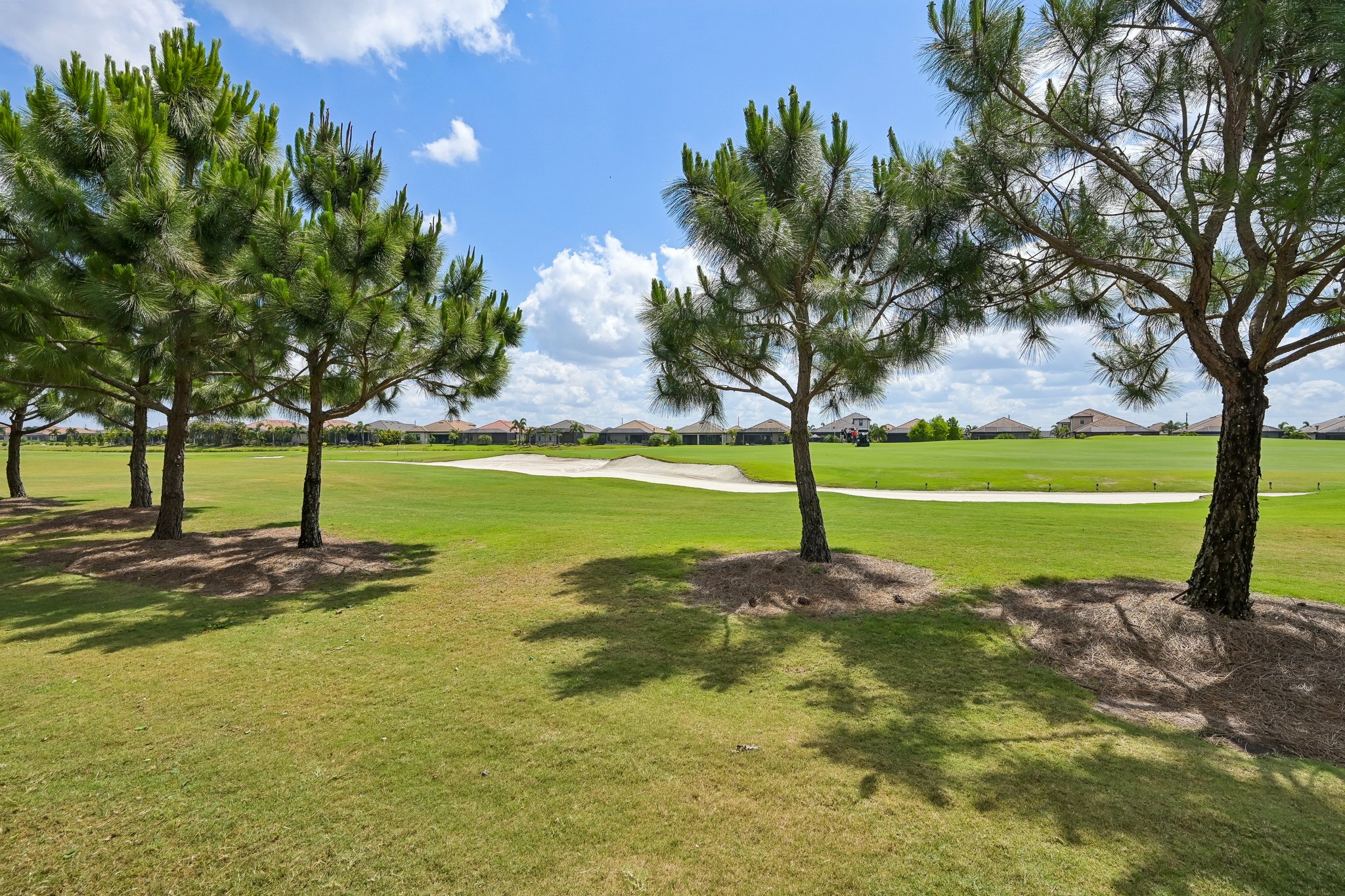 Palmer Cir 101-S0205-041.jpg