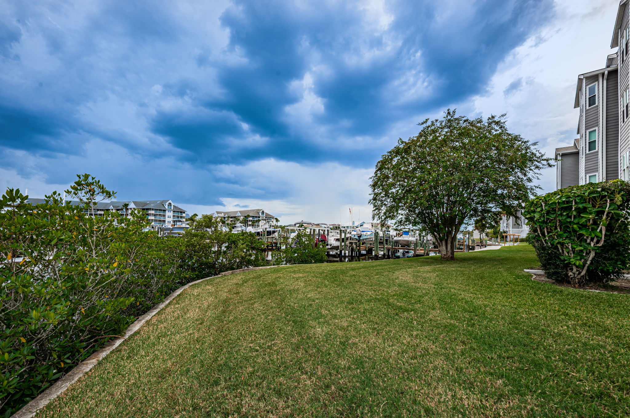 Backyard