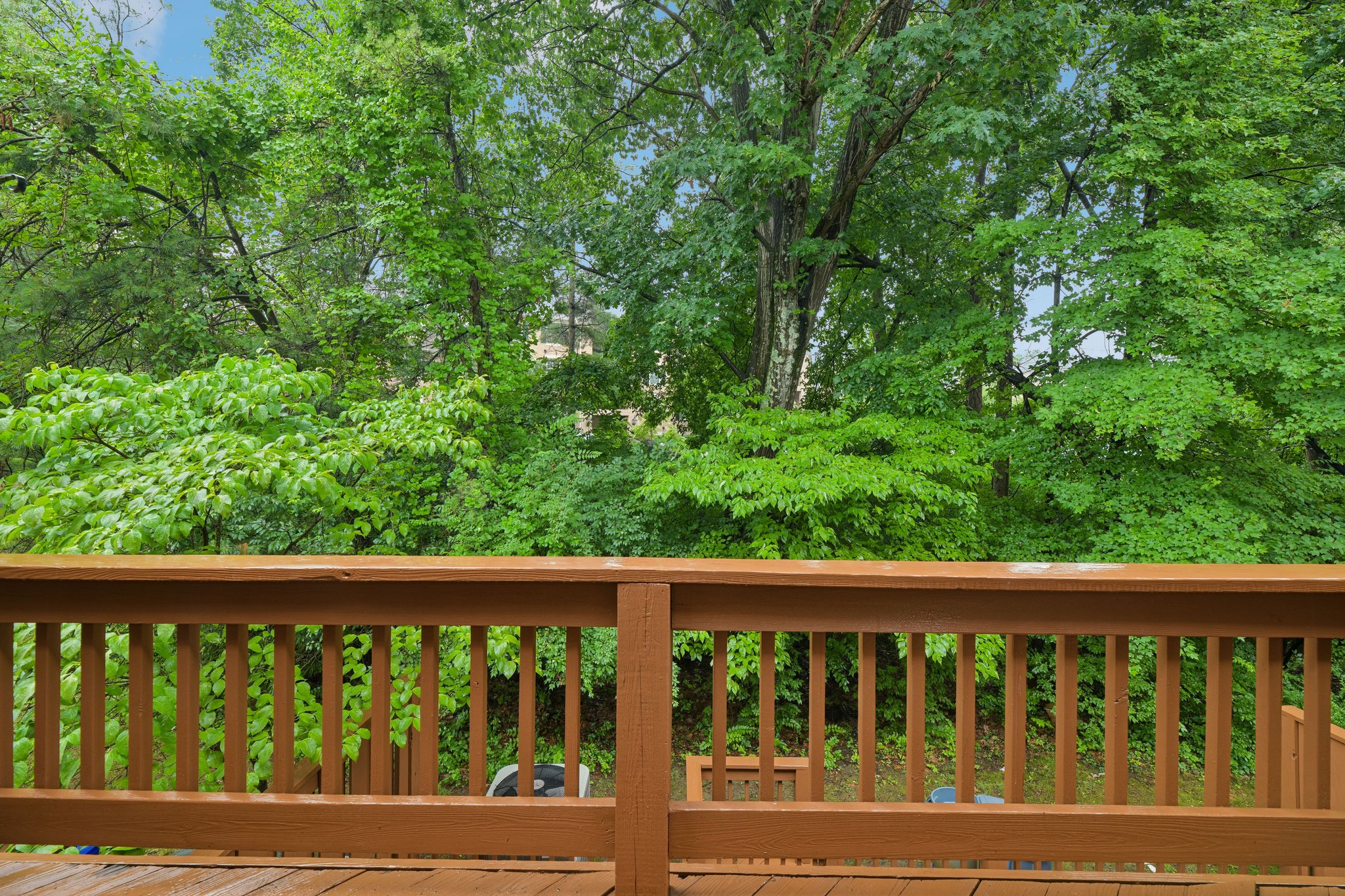 Brewer House Cir-S2906-076.jpg