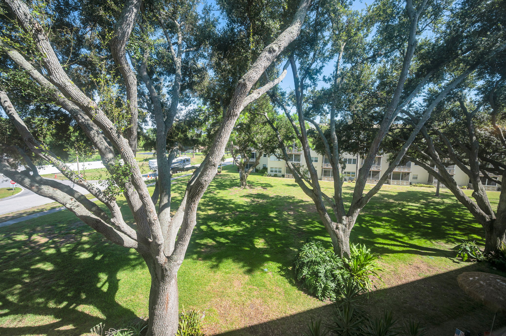 Bonus Room View3