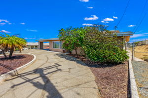 Front of home w circular driveway, large plumeria tree
