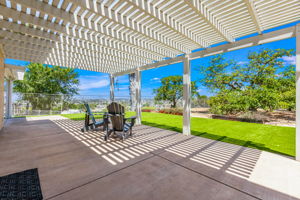 Main back patio looking onto tangerine and mature Haas avocado tree
