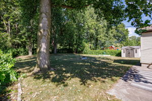  Photo 37