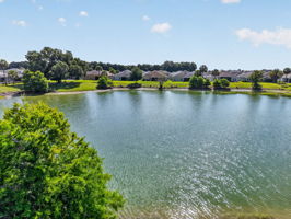 Water Views