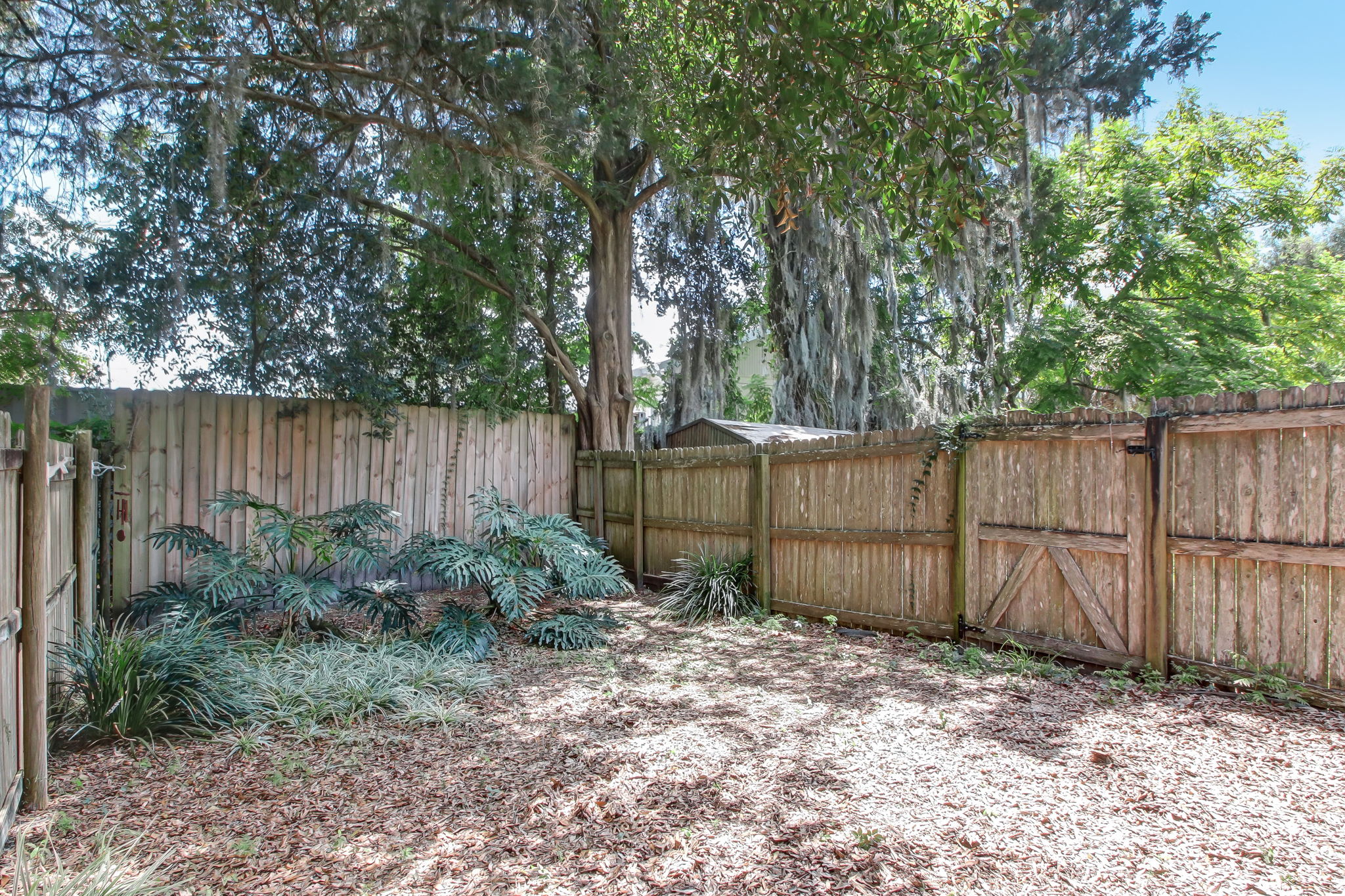 Back Yard