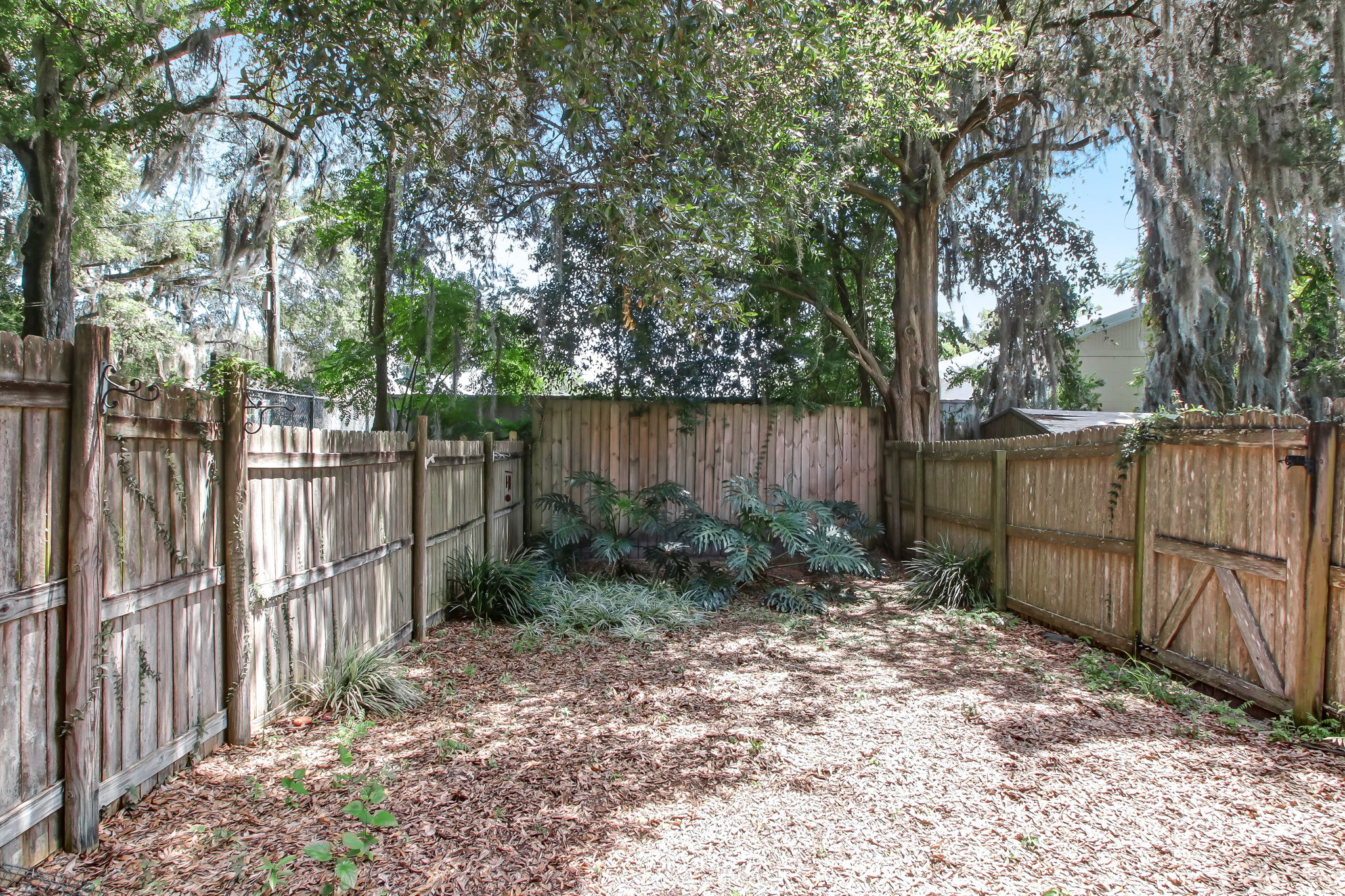 Back Yard