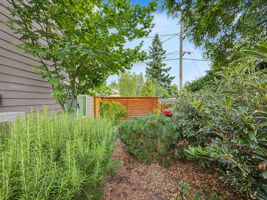 Photo 37