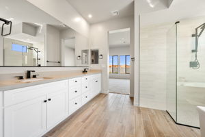 Primary Bathroom (1)