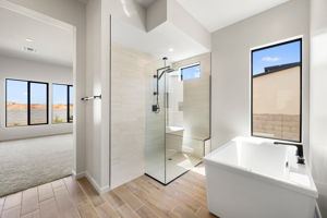 Primary Bathroom (4)