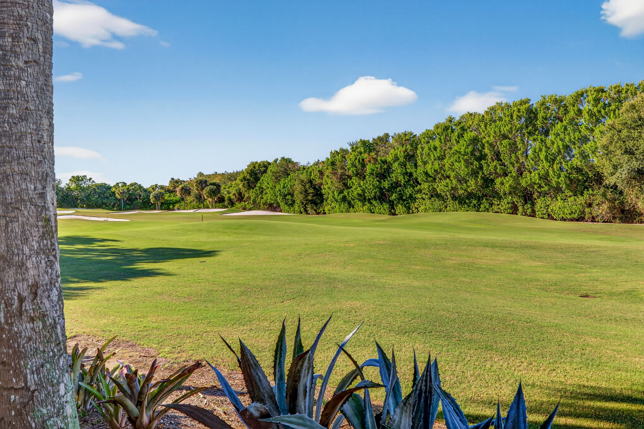 Rear Exterior 1 of 2