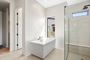 Primary Bath (2)