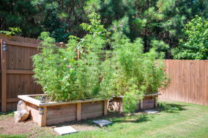  Photo 37