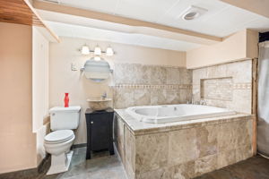 Lower Level Bathroom