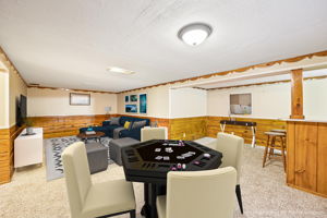 Virtually Staged Lower Level