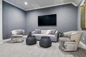 Living area in family room