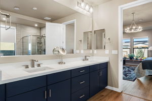 Primary Bathroom (3)