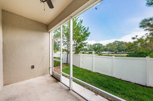 Patio 2