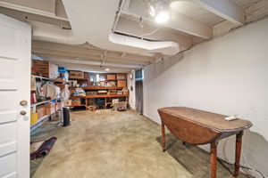 Basement Storage Area