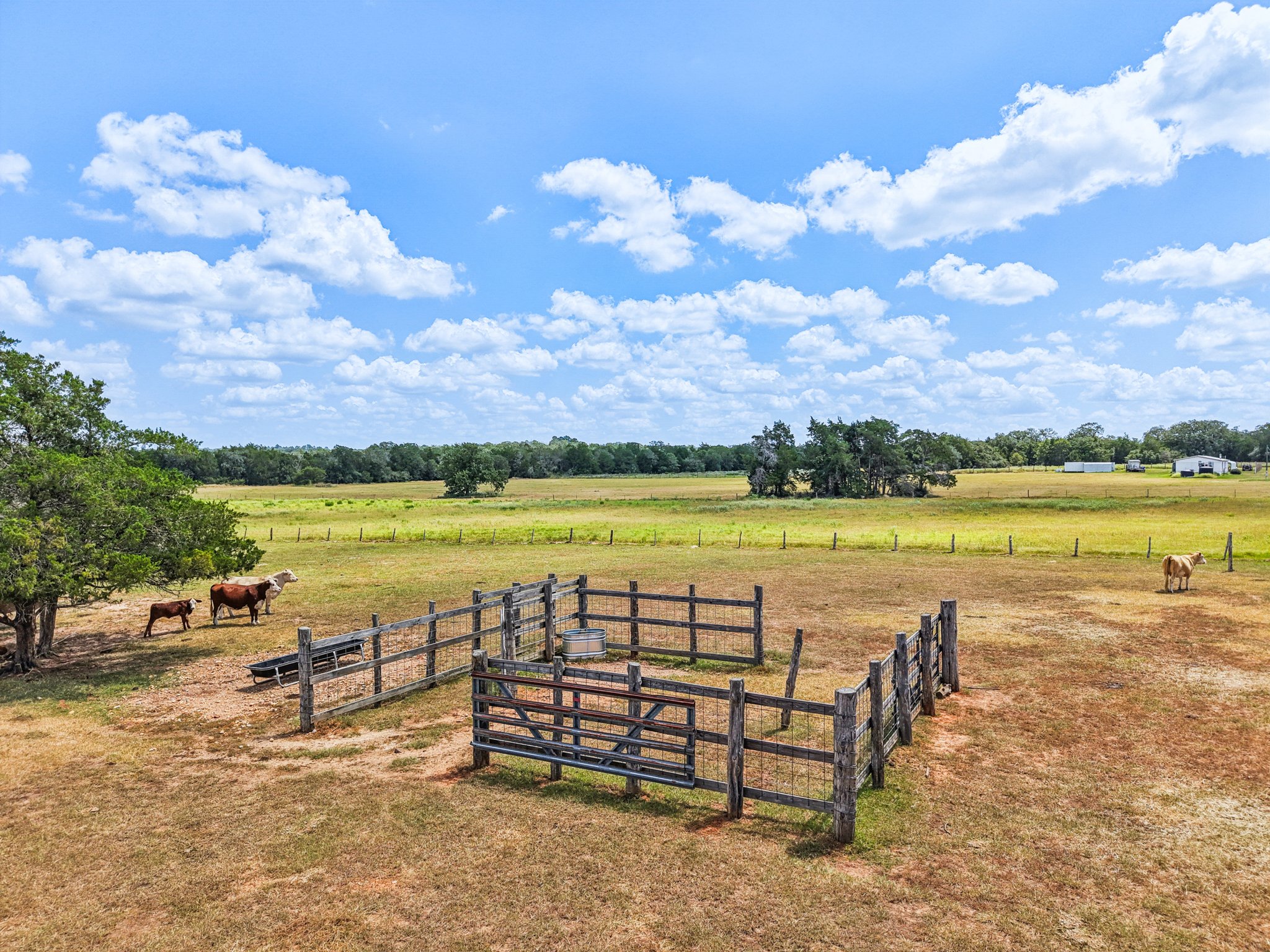 Hofferek Rd-S1808-069.jpg