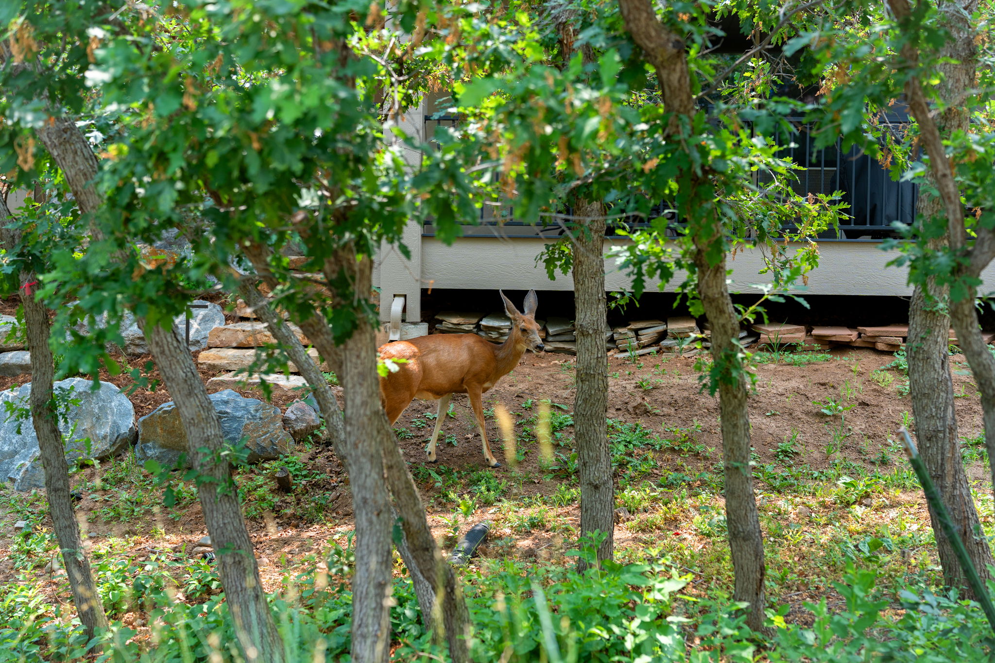  Photo 47