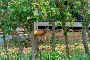  Photo 46