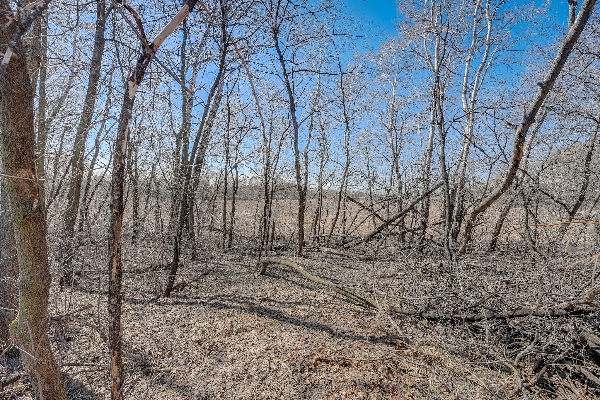Ridge Creek Rd-048