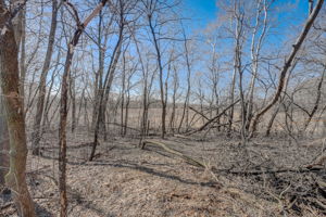 Ridge Creek Rd-048