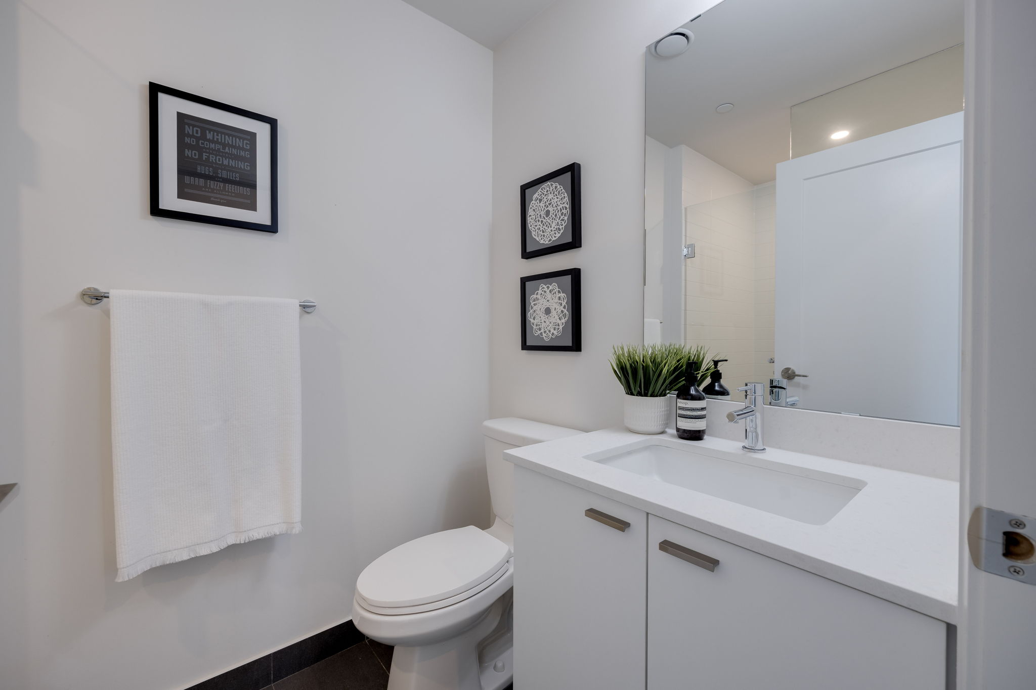Toronto property showcase — delivered property photograph 20