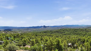 Aerial 7