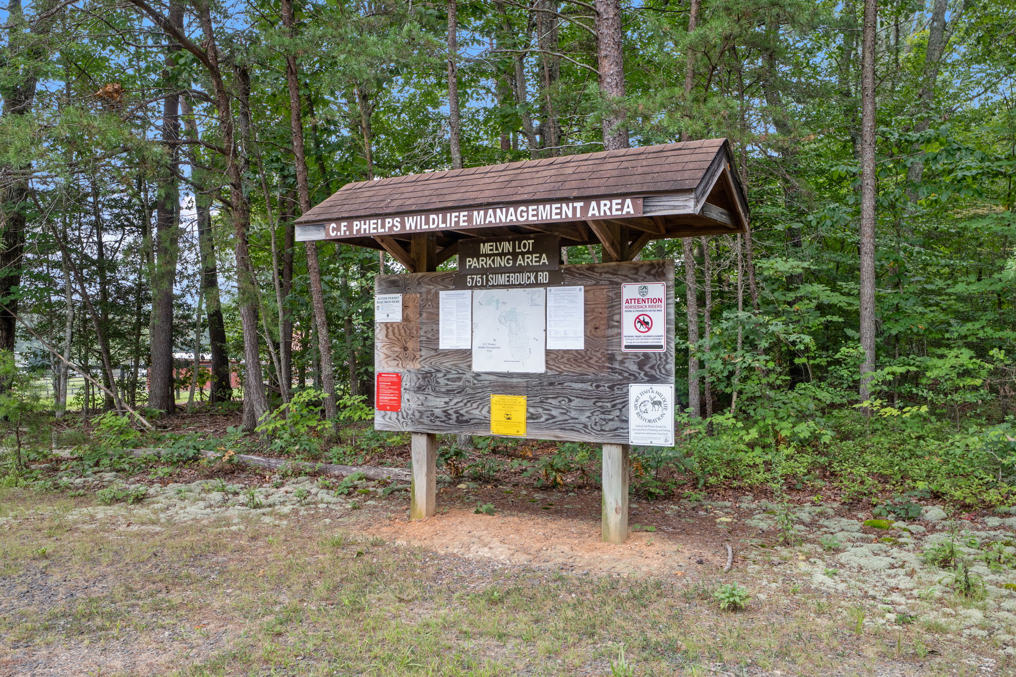  Photo 45