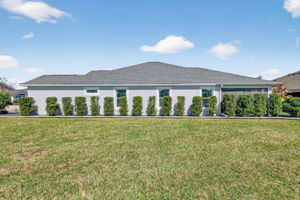 Rear Elevation with Privacy Landscaping