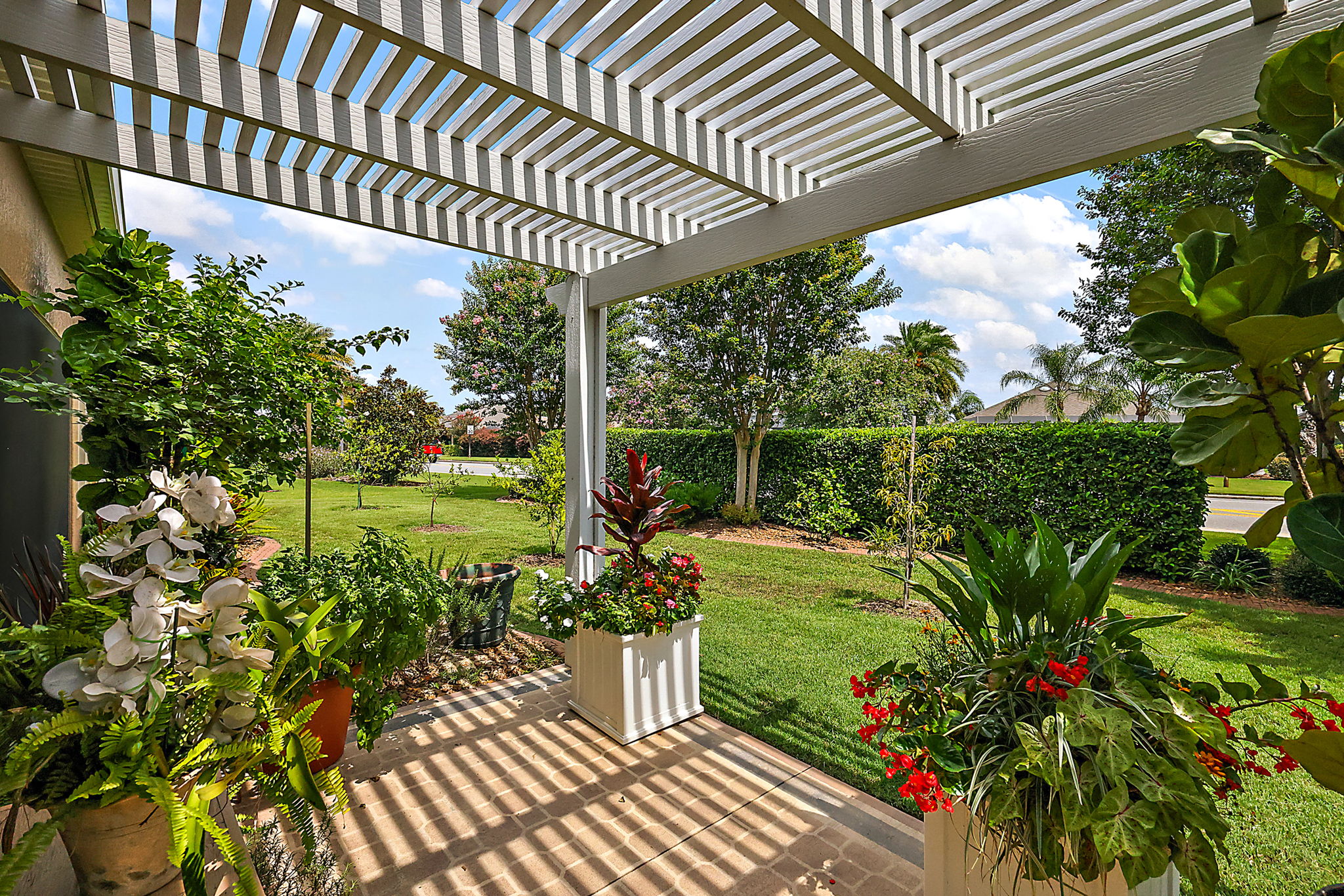 Rear Patio with Pergola and Privacy Landscaping