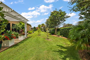 Rear Yard with Privacy Landscaping