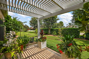 Rear Patio with Pergola and Privacy Landscaping