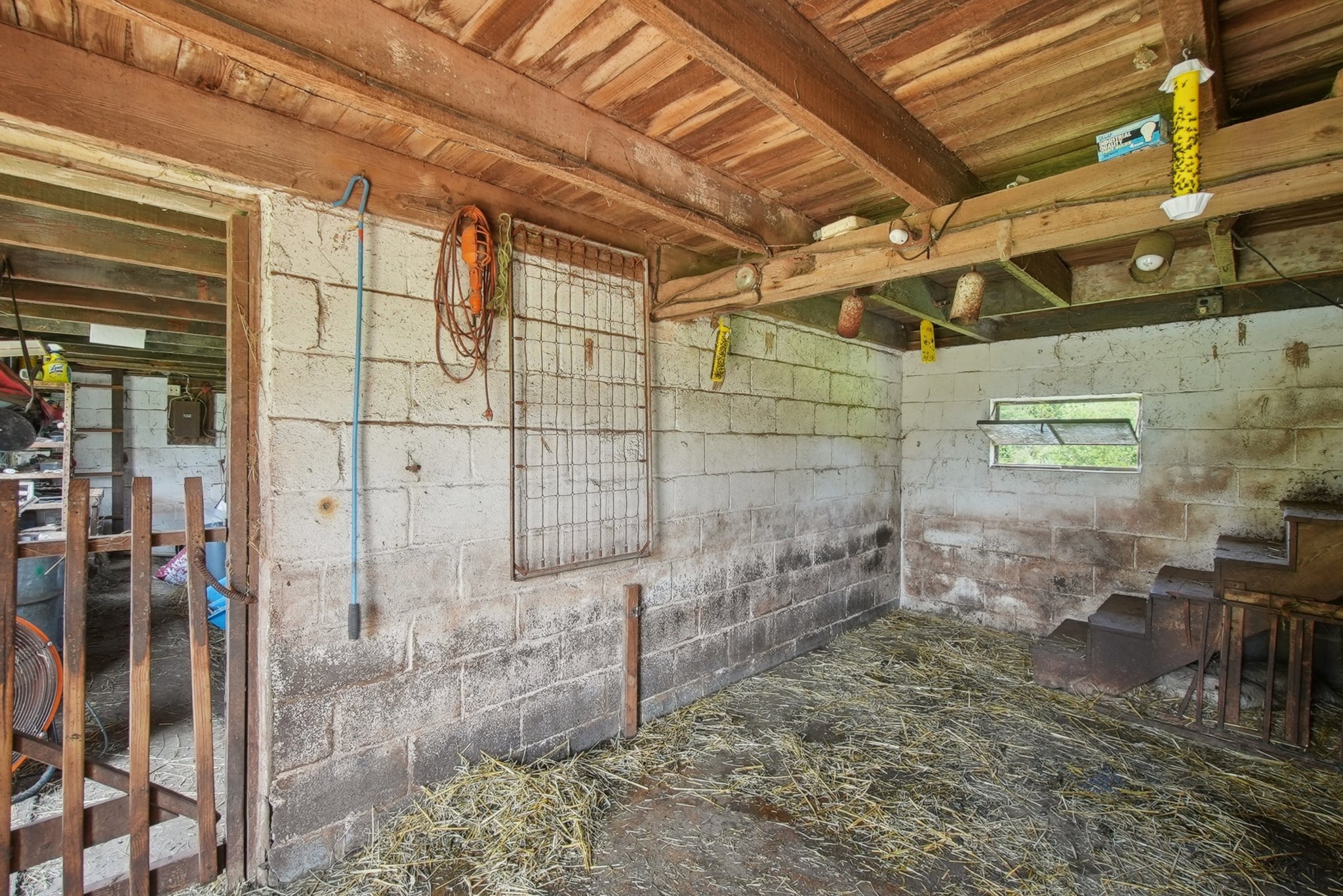 Stalls have low ceilings: sheep, goats, cows
